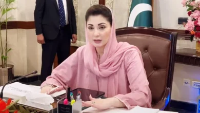 پنجاب میں ڈیڑھ سال کی ترقی کی مثال نہیں ملتی، صوبے کے ہر شہر میں جدید اسپتال بنائیں گے: وزیرِ اعلیٰ مریم نواز