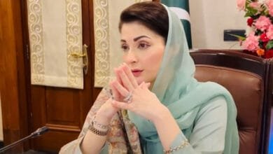 مریم نواز شریف کا ورلڈ چِلڈرن ڈے پر پیغام: بچوں کی صحت اور تعلیم ہماری پہلی ترجیح ہے
