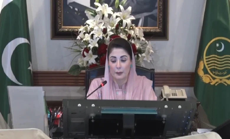 نیشنل سکیورٹی ورکشاپ کے شرکاء سے ملاقات، وزیراعلیٰ پنجاب مریم نواز نے حکومتی کارکردگی اور فلاحی اقدامات پر تفصیلی بریفنگ دی