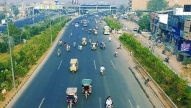 پاکستان گرین لاہور منصوبہ — شاہدرہ میں 1.3 کلومیٹر طویل جی ٹی روڈ کے اطراف شجرکاری مکمل، 5500 درخت لگائے گئے