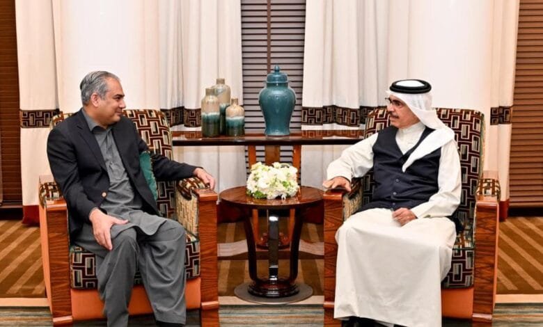 وزیرِ داخلہ محسن نقوی کی بحرینی ہم منصب سے ملاقات؛ قانون کے نفاذ اور انٹیلی جنس تعاون کو فروغ دینے کا عزم