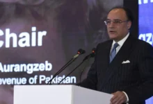 پاکستان کے اقتصادی چیلنجز: سینیٹر اورنگزیب کا موسمیاتی تبدیلی اور آبادی کے انتظام پر زور