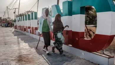 "اسرائیل کا صومالی لینڈ کو تسلیم کرنا ایک غیر قانونی اقدام ہے اور یہ صومالیہ کی خودمختاری، قومی وحدت اور علاقائی سالمیت کے خلاف ہے۔"