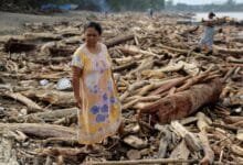 جنوب مشرقی ایشیا اور سری لنکا میں سیلاب سے ہلاکتوں کی تعداد ایک ہزار سے زائد