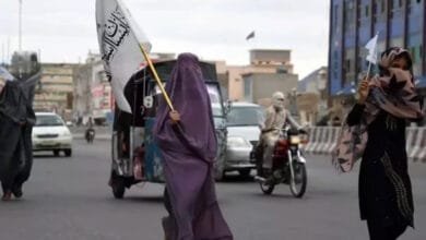 دہشت گردوں کی آماجگاہ افغانستان خطے کے لیے سنگین خطرہ، پاکستان کے مؤقف کا عالمی سطح پر اعتراف