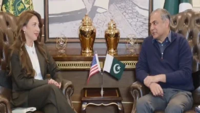 وزیر داخلہ محسن نقوی سے قائم مقام امریکی سفیر نیٹلی بیکر کی ملاقات: انسدادِ منشیات، سکیورٹی تعاون اور غیر قانونی امیگریشن پر بات چیت