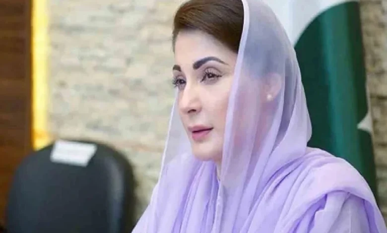 پنجاب حکومت شہریوں کے بنیادی حقوق کے تحفظ کیلئے عملی اقدامات کر رہی ہے،مریم نواز شریف