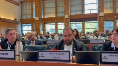 Pakistan committed to full cooperation with ICCROM for the protection of world cultural heritage: Aurangzeb Khichi