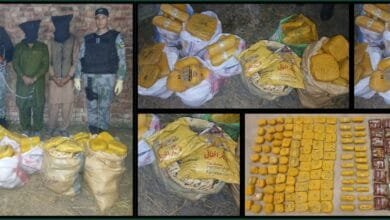 کاؤنٹر نارکوٹکس فورس پنجاب کی بڑی کارروائی، گوجرانوالہ سے 174 کلوگرام منشیات برآمد