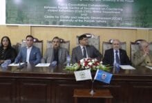 ملک کو اس سال درپیش چیلنجز کے باوجود اللہ تعالیٰ نے پاکستان کو کئی شعبوں میں کامیابیاں عطا کیں