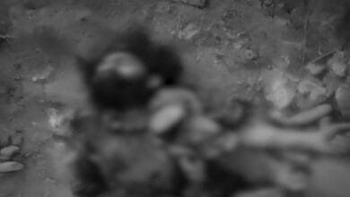 شمالی وزیرستان میں سیکیورٹی فورسز کی کارروائی: سات خوارج ہلاک، اسلحہ اور گولہ بارود برآمد