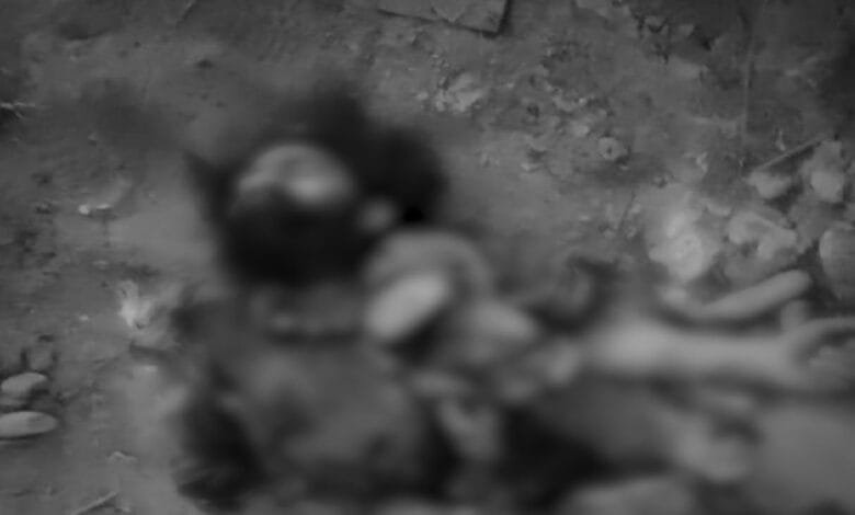 شمالی وزیرستان میں سیکیورٹی فورسز کی کارروائی: سات خوارج ہلاک، اسلحہ اور گولہ بارود برآمد