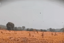 پاک فوج کی جانب سے ’میڈن اسٹرائیک‘ مشق کا انعقاد, جدید ڈرون ٹیکنالوجی کے استعمال سے مستقبل کے میدانِ جنگ کی تیاری