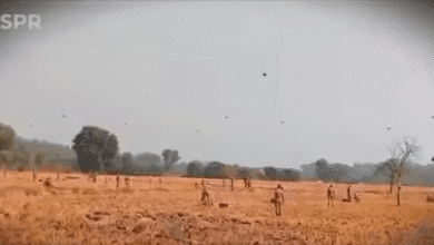 پاک فوج کی جانب سے ’میڈن اسٹرائیک‘ مشق کا انعقاد, جدید ڈرون ٹیکنالوجی کے استعمال سے مستقبل کے میدانِ جنگ کی تیاری