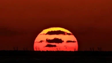 سال 2025 کا آخری سورج تلخ و شیریں یادوں کے ساتھ غروب، مختلف ملکوں میں سال 2026 کا آغاز