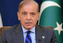 بعض ہمسایہ ممالک دہشت گردوں کی معاونت کر رہے ہیں: شہباز شریف