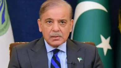 بعض ہمسایہ ممالک دہشت گردوں کی معاونت کر رہے ہیں: شہباز شریف