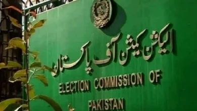پنجاب میں بلدیاتی انتخابات میں مزید تاخیر، الیکشن کمیشن کا صوبائی حکومت کی کارکردگی پر سخت اظہارِ تشویش