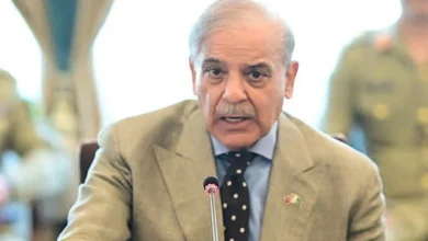 دہشت گردی کے مکمل خاتمے تک جنگ جاری رہے گی، وزیراعظم شہباز شریف