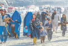 خیبر میں غیر دستاویزی افغان شہریوں کے خلاف کریک ڈاؤن، 8 ڈی پورٹ، سینکڑوں پاکستانی طورخم پر پھنسے