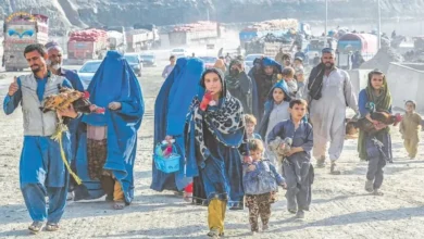 خیبر میں غیر دستاویزی افغان شہریوں کے خلاف کریک ڈاؤن، 8 ڈی پورٹ، سینکڑوں پاکستانی طورخم پر پھنسے