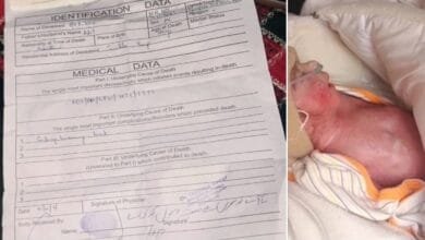 اس سرٹیفکیٹ پر ڈاکٹر طیبہ صدف کا دستخط اور مہر موجود تھی، جس سے اس بات کی تصدیق ہوئی کہ یہ سرٹیفکیٹ حقیقت میں اسپتال کے عملے کی جانب سے جاری کیا گیا تھا۔