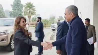 بیرونِ ملک جرائم میں ملوث افراد کی نشاندہی جدید سافٹ ویئر کے ذریعے کی جائے گی: محسن نقوی