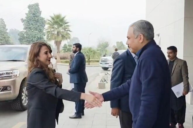 بیرونِ ملک جرائم میں ملوث افراد کی نشاندہی جدید سافٹ ویئر کے ذریعے کی جائے گی: محسن نقوی