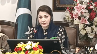 وزیراعلیٰ پنجاب مریم نواز شریف کا بھاٹی گیٹ مین ہول واقعہ پر سخت اظہار برہمی،انتظامیہ،ایل ڈی اے اورواسا سمیت ذمہ داراداروں کی کارکردگی پر سخت سرزنش،چار افسر برخاست،گرفتاری کا حکم