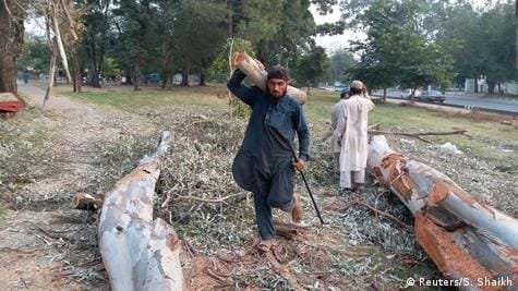 لاہور میں درختوں کی کٹائی پر مکمل پابندی، پی ایچ اے کے تمام افسران کو سخت ہدایات جاری