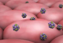 انتہا‍ئی متعدی نورو وائرس سے کیسے بچا جائے؟