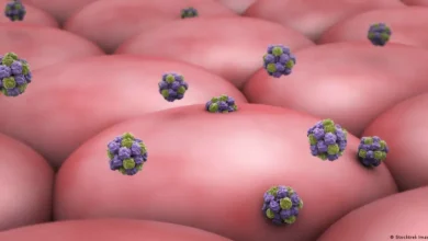 انتہا‍ئی متعدی نورو وائرس سے کیسے بچا جائے؟