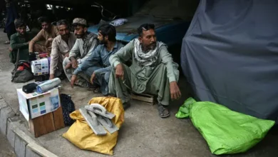 معاشی جمود، برآمدات کی کمزوری اور اصلاحات کا فقدان،ذمہ دار آئی ایم ایف؟