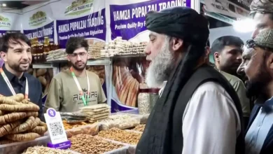 پاکستانی سرحدوں کی بندش کے باوجود افغان تجارت مستحکم رہی