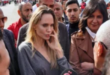 مقامی میڈیا کے مطابق اس دورے کا مقصد مصر میں زیر علاج زخمی فلسطینیوں سے ملاقات کرنا اور غزہ میں امداد کی ترسیل کا جائزہ لینا تھا۔ جولی نے قریبی شہر العریش کے ایک ہسپتال میں بھی مریضوں سے بات چیت کی۔