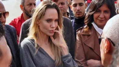 مقامی میڈیا کے مطابق اس دورے کا مقصد مصر میں زیر علاج زخمی فلسطینیوں سے ملاقات کرنا اور غزہ میں امداد کی ترسیل کا جائزہ لینا تھا۔ جولی نے قریبی شہر العریش کے ایک ہسپتال میں بھی مریضوں سے بات چیت کی۔