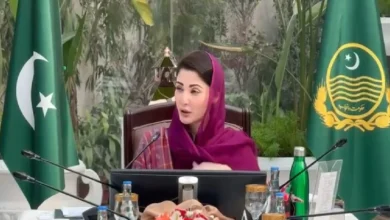 پنجاب میں سرمایہ کاری کے لئے بہترین اور موزوں وقت آچکا ہے،مریم نوازشریف