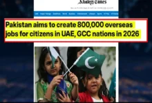 پاکستان کا 2026 میں خلیج تعاون کونسل کے ممالک میں 8 لاکھ شہریوں کے لیے روزگار کے مواقع پیدا کرنے کا ہدف