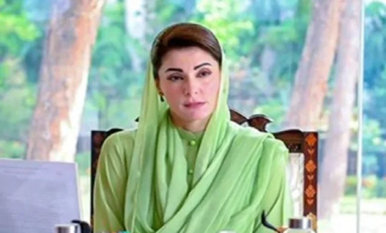 وزیراعلی پنجاب مریم نواز شریف کا کراچی کے گل پلازے میں آتشزدگی سے قیمتی انسانی جانوں کے ضیاع پر گہرے دکھ اور افسوس کا اظہار