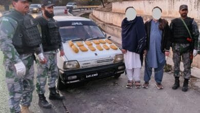 پنجاب کاؤنٹر نارکوٹکس فورس کی منشیات فروشوں کے خلاف بھرپور کارروائیاں جاری، دو روز میں 20 کلوگرام سے زائد منشیات برآمد، 35 ملزمان گرفتار