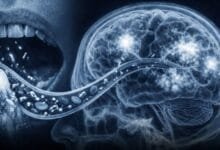 منہ کے بیکٹیریا اور الزائمر،نئی تحقیق نے سائنسی دنیا میں بحث چھیڑ دی