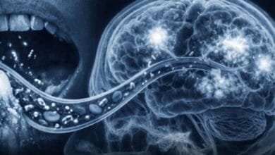 منہ کے بیکٹیریا اور الزائمر،نئی تحقیق نے سائنسی دنیا میں بحث چھیڑ دی