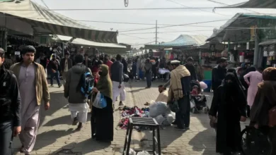 مبینہ انتخابی دھاندلی کے خلاف ٹی ٹی اے پی کی ملک گیر ہڑتال