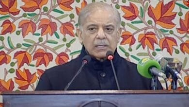 وزیراعظم شہباز شریف کا دوٹوک پیغام: بھارت جس زبان میں بات کرے گا، اسی میں جواب دیا جائے گا