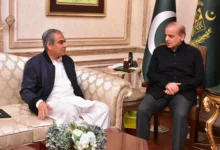 وزیراعظم شہباز شریف کی وزیر داخلہ محسن نقوی کو اسلام آباد کی سیکیورٹی صورتحال پر ہدایات