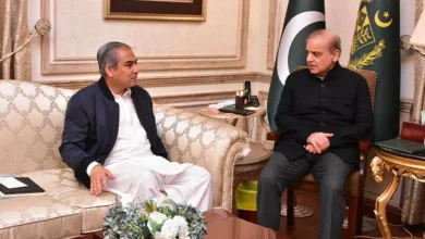 وزیراعظم شہباز شریف کی وزیر داخلہ محسن نقوی کو اسلام آباد کی سیکیورٹی صورتحال پر ہدایات