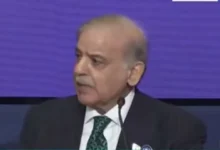 وزیر اعظم شہباز شریف کا غزہ میں جنگ بندی کی خلاف ورزیوں کے خاتمے کی ضرورت پر زور، ٹرمپ کی قیادت کو سراہا