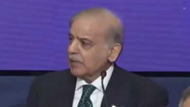 وزیر اعظم شہباز شریف کا غزہ میں جنگ بندی کی خلاف ورزیوں کے خاتمے کی ضرورت پر زور، ٹرمپ کی قیادت کو سراہا