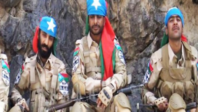 امریکی دفاعی تجزیہ کار کی رپورٹ: بی ایل اے محض علیحدگی پسند نہیں بلکہ منظم دہشت گرد تنظیم قرار