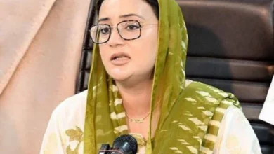 بسنت تہوار: پنجاب کی ثقافت کی بحالی کا کریڈٹ سو فیصد مریم نواز کو جاتا ہے، عظمی بخاری